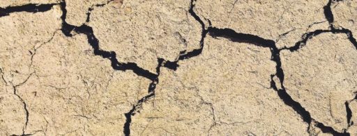 FINITO. DIRÀ UN GIORNO MADRE NATURA