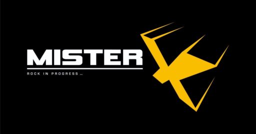 Concerto live con i Mister X