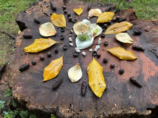 I mondi naturali a Villa dei Cedri